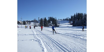 vacation on the farm - Skifahren - Schnepfau - Langlaufen in Sulzberg - Haus Adlerhorst