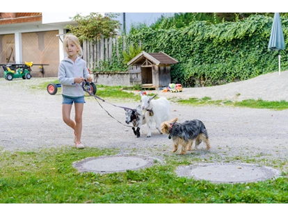 Urlaub auf dem Bauernhof - ideal für: Sportler - Steuer - Spaziergang mit den Miniziegen
 - Bio-Familienbauernhof Göttfriedbauer
