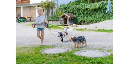 Urlaub auf dem Bauernhof - ideal für: Pärchen - Salzburg - Spaziergang mit den Miniziegen
 - Bio-Familienbauernhof Göttfriedbauer