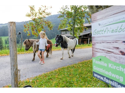 Urlaub auf dem Bauernhof - Schwimmmöglichkeit: Außenpool - Wallingwinkl - Die Ponys kommen auf die Weide - Bio-Familienbauernhof Göttfriedbauer