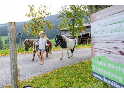 Urlaub auf dem Bauernhof - Tiere am Hof: Hühner - Mühlbach am Hochkönig - Die Ponys kommen auf die Weide - Bio-Familienbauernhof Göttfriedbauer