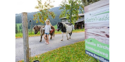 Urlaub auf dem Bauernhof - Fahrzeuge: Balkenmäher - PLZ 5630 (Österreich) - Die Ponys kommen auf die Weide - Bio-Familienbauernhof Göttfriedbauer
