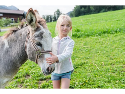 Urlaub auf dem Bauernhof - Erlebnis Bauernhöfe Altenmarkt Zauchensee - Obsmarkt - Esel auf der Weide - Bio-Familienbauernhof Göttfriedbauer