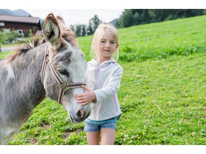 Urlaub auf dem Bauernhof - Verleih: Fahrräder - Pongau - Esel auf der Weide - Bio-Familienbauernhof Göttfriedbauer