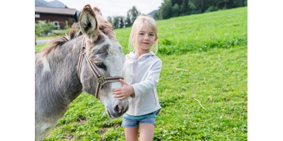 Urlaub auf dem Bauernhof - nachhaltige Landwirtschaft - Salzburg - Esel auf der Weide - Bio-Familienbauernhof Göttfriedbauer