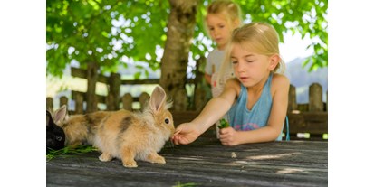 Urlaub auf dem Bauernhof - Mithilfe beim: Eier sammeln - Salzburger Sportwelt - Hasen - Bio-Familienbauernhof Göttfriedbauer