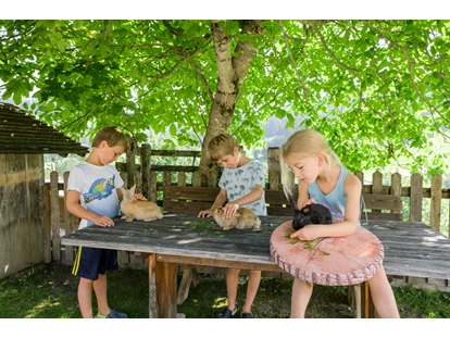Urlaub auf dem Bauernhof - Fahrzeuge: Ladewagen - Sankt Georgen (Bruck an der Großglocknerstraße) - Spielen mit den Tieren - Bio-Familienbauernhof Göttfriedbauer