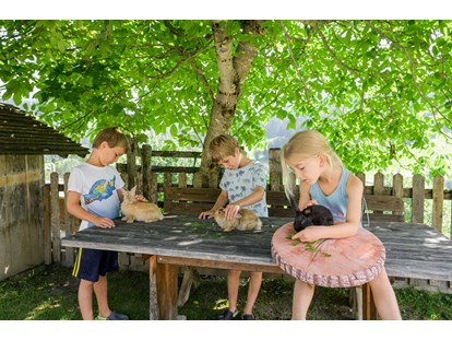 Urlaub auf dem Bauernhof - Schützing (Saalfelden am Steinernen Meer) - Spielen mit den Tieren - Bio-Familienbauernhof Göttfriedbauer