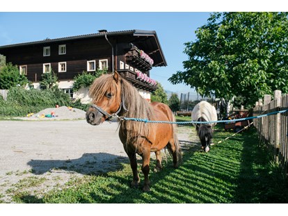 Urlaub auf dem Bauernhof - Kräutergarten - Embach (Lend) - Bio-Familienbauernhof Göttfriedbauer