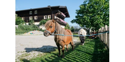 Urlaub auf dem Bauernhof - nachhaltige Landwirtschaft - Salzburg - Bio-Familienbauernhof Göttfriedbauer