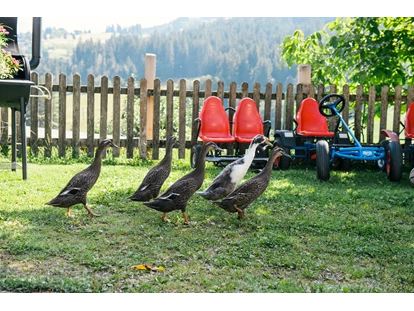 Urlaub auf dem Bauernhof - Fahrzeuge: Balkenmäher - Gamp - Entenfamilie - Bio-Familienbauernhof Göttfriedbauer
