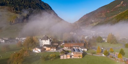 vacanza in fattoria - Selbstversorger - Berg (Leogang) - Unser Hofensemble: Schloss Saalhof mit Moarhaus und Zuhaus und Stallgebäuden - Schloss Saalhof