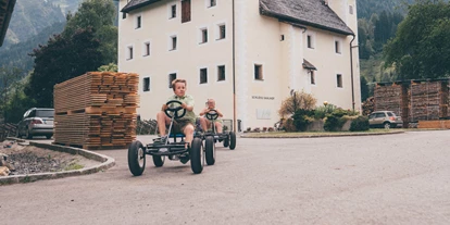 Urlaub auf dem Bauernhof - Stromanschluss: für Campingwagen - Obsmarkt - Fahren mit den Gokarts auf unserem Hof - Schloss Saalhof