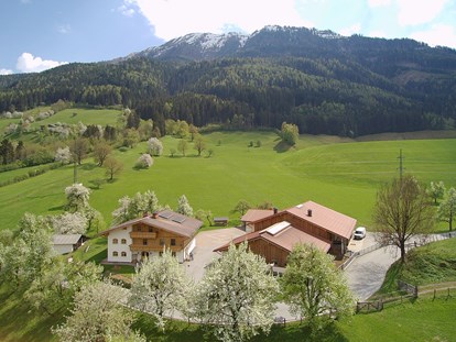vacation on the farm - Jahreszeit: Sommer-Urlaub - Berg (Leogang) - Unser Hof - Ferienparadies Taxen