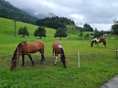 Urlaub auf dem Bauernhof - Mithilfe beim: Tiere füttern - Flachau - Ferienparadies Taxen