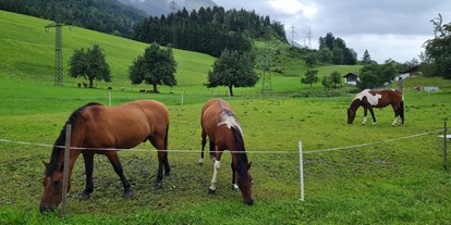 Urlaub auf dem Bauernhof - Mithilfe beim: Tiere pflegen - PLZ 5771 (Österreich) - Ferienparadies Taxen