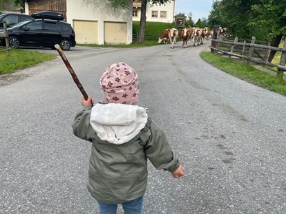 vacanza in fattoria - Tiere am Hof: Pferde - Gosau - Ferienparadies Taxen