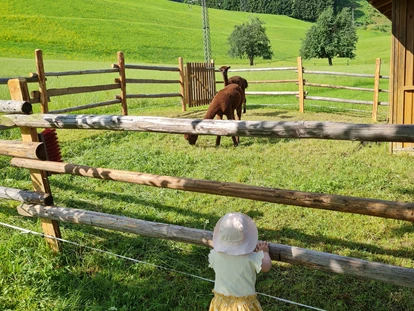 Urlaub auf dem Bauernhof - Mithilfe beim: Tiere füttern - Bsuch - Ferienparadies Taxen