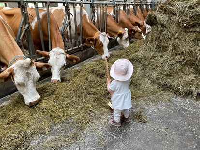 Urlaub auf dem Bauernhof - Tiere am Hof: Kühe - Hintersee (Hintersee) - Ferienparadies Taxen