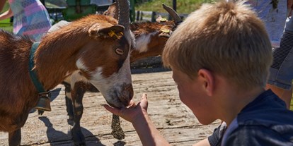 vacation on the farm - Mithilfe beim: Melken - Streicheltiere - Bauernhof Leneler
