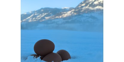 Urlaub auf dem Bauernhof - Art der Landwirtschaft: Obstbauernhof - Österreich - täglich frische Eier von unseren Hühnern  - Bauernhof Sonnenhuab 