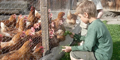 Urlaub auf dem Bauernhof - Mithilfe beim: Eier sammeln - Mühlwald (Trentino-Südtirol) - Jenneweinhof