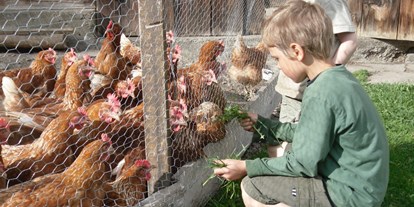 Urlaub auf dem Bauernhof - Tiere am Hof: Hühner - Weer - Jenneweinhof