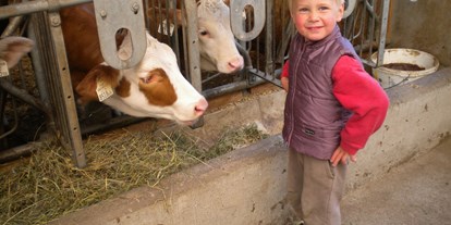 Urlaub auf dem Bauernhof - Tiere am Hof: Kühe - Mariatal - Jenneweinhof