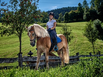 Urlaub auf dem Bauernhof - Tiere am Hof: Ponys - Neuseß - Bruckreiterhof