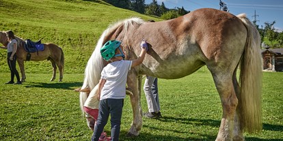 Urlaub auf dem Bauernhof - Art der Landwirtschaft: Pferdehof - PLZ 5630 (Österreich) - Bruckreiterhof
