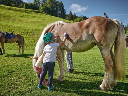 Urlaub auf dem Bauernhof - Art der Landwirtschaft: Tierhaltung - Österreich - Bruckreiterhof