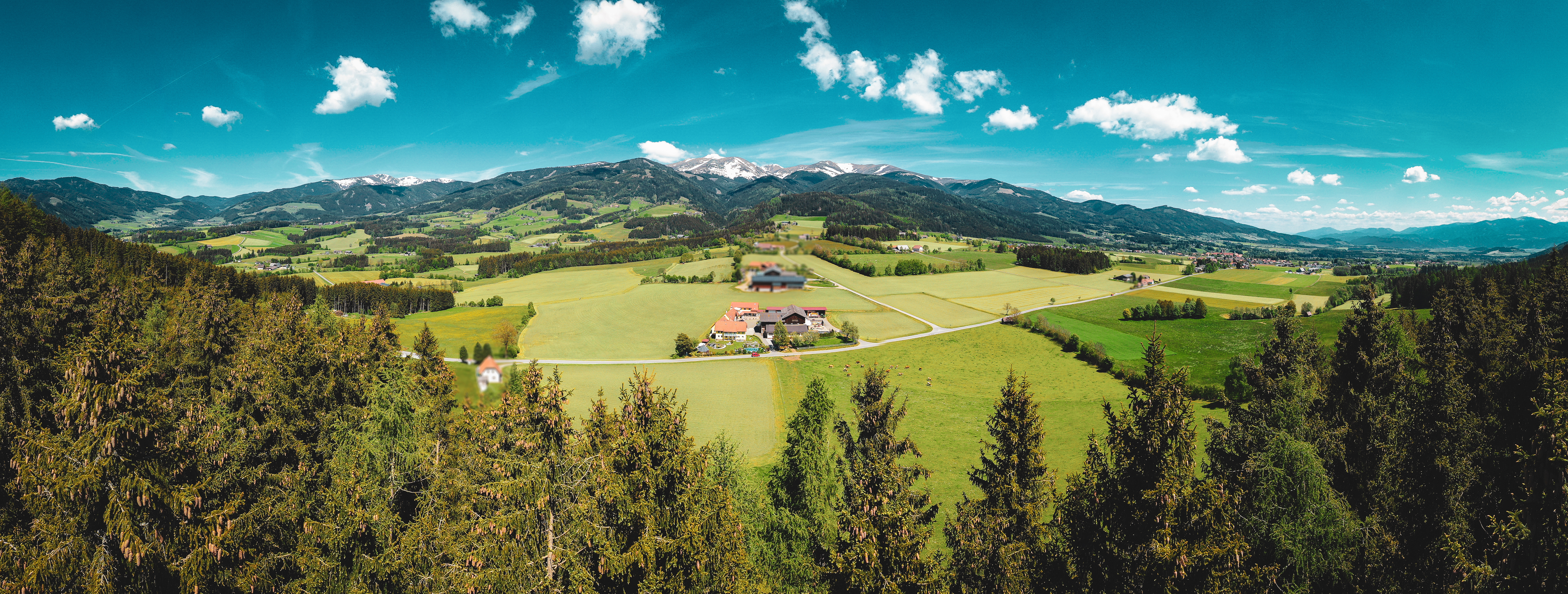 Ferien Bauernhof - Hacknerhof  -  Bio- & Gesundheitsbauernhof