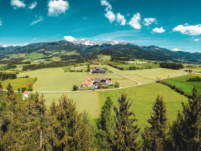 vakantie op de boerderij - ideal für: Familien - Unterleidenberg - Hacknerhof  -  Bio- & Gesundheitsbauernhof