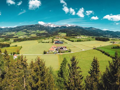 Urlaub auf dem Bauernhof - ideal für: Familien - Mühltal (Pöls-Oberkurzheim) - Hacknerhof  -  Bio- & Gesundheitsbauernhof