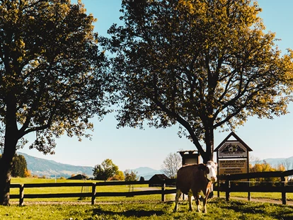 Urlaub auf dem Bauernhof - Radwege - Vorderwölch - Hacknerhof  -  Bio- & Gesundheitsbauernhof