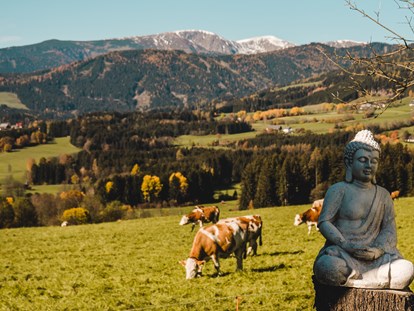 vacanza in fattoria - Wanderwege - Mariahof - Hacknerhof  -  Bio- & Gesundheitsbauernhof