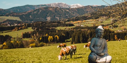Urlaub auf dem Bauernhof - Umgebung: Urlaub in den Bergen - Hacknerhof  -  Bio- & Gesundheitsbauernhof