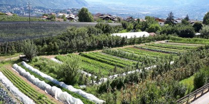 Urlaub auf dem Bauernhof - Art der Landwirtschaft: Tierhaltung - Trentino-Südtirol - unsere Gemüsewiese - Bachguterhof