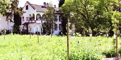 vacanza in fattoria - Art der Landwirtschaft: Weinbau - Bio-Guthof Campan  - Biogutshof Castel Campan