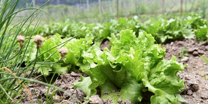 vacanza in fattoria - Jahreszeit: Frühlings-Urlaub - Trentino-Alto Adige - im Bauerngarten wachsen viele Kräuter und Salat für Ihre Küche - Biogutshof Castel Campan