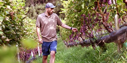 vacanza in fattoria - Art der Landwirtschaft: Weinbau - in unserem Weinberg - Biogutshof Castel Campan