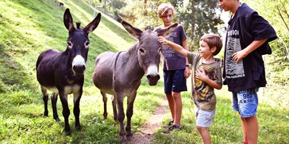 vacanza in fattoria - Spielzimmer - Toblach - unsere Zwergesel Maxl und Walter - Biogutshof Castel Campan