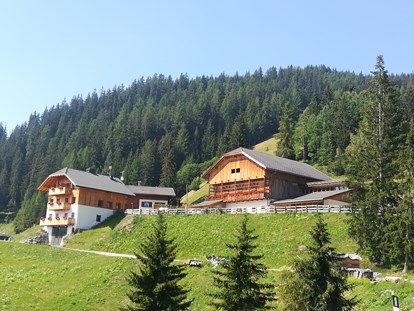 Urlaub auf dem Bauernhof - Jahreszeit: Sommer-Urlaub - Mühlbach (Trentino-Südtirol) - Lüch Picedac Apartments