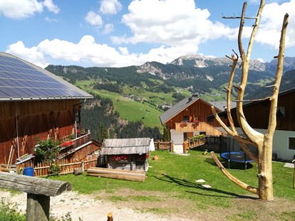 vacation on the farm - Fahrzeuge: Heuwender - Trentino-South Tyrol - Lüch Picedac Apartments