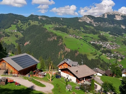 dovolenka na farme - selbstgemachte Produkte: Säfte - Trentino-Južné Tirolsko - Lüch Picedac Apartments