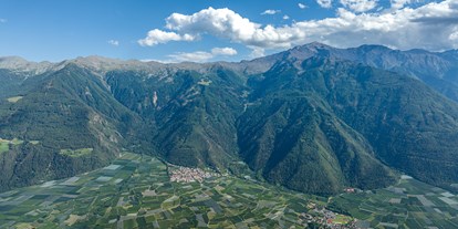 Urlaub auf dem Bauernhof - Tiere am Hof: Kühe - Trentino-Südtirol - Panorama 3 - Oberköbenhof 