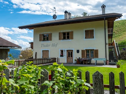 Urlaub auf dem Bauernhof - selbstgemachte Produkte: frisches Gemüse - Italien - Thalerhof Feldthurns bei Brixen