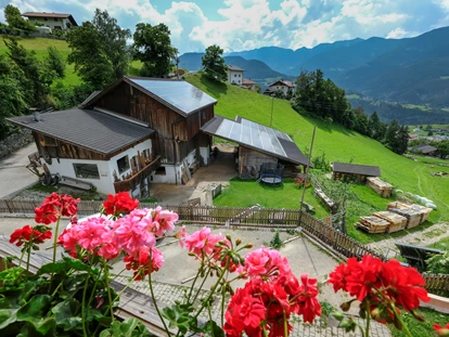 vakantie op de boerderij - Tiere am Hof: Katzen - Alpen - Thalerhof Feldthurns bei Brixen