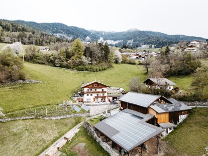 Urlaub auf dem Bauernhof - Tiere am Hof: Schweine - Mühlbach (Trentino-Südtirol) - Thalerhof Feldthurns bei Brixen