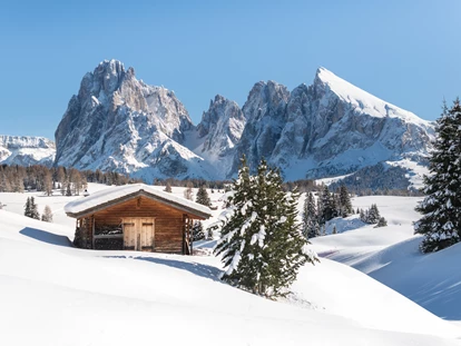 Urlaub auf dem Bauernhof - Kräutergarten - Eisacktal - Seiser Alm Winter: Winterurlaub in Südtirol auf der Seiser Alm
Aktiv durch den Winter… Dolomiten in allen Facetten.
Aktivurlauber, Wintersportler und Genießer lieben den Winterurlaub im Skigebiet Seiser Alm/Val Gardena in Südtirol. Ob auf den 181 km Skipisten, den 80 km Sonnenloipen, der Rodelbahn oder zu Fuß mit Winterstiefeln oder Schneeschuhen: Der Winterurlaub rund um die Seiser Alm in Südtirol ist facettenreich. Grandiose Ausblicke auf die Bergwelt der Dolomiten UNESCO Welterbe, sonnige Wintertage und die befreiende Weite von Europas größter Hochalm begleiten Sie in diesem Winterurlaub in Südtirol. - Binterhof